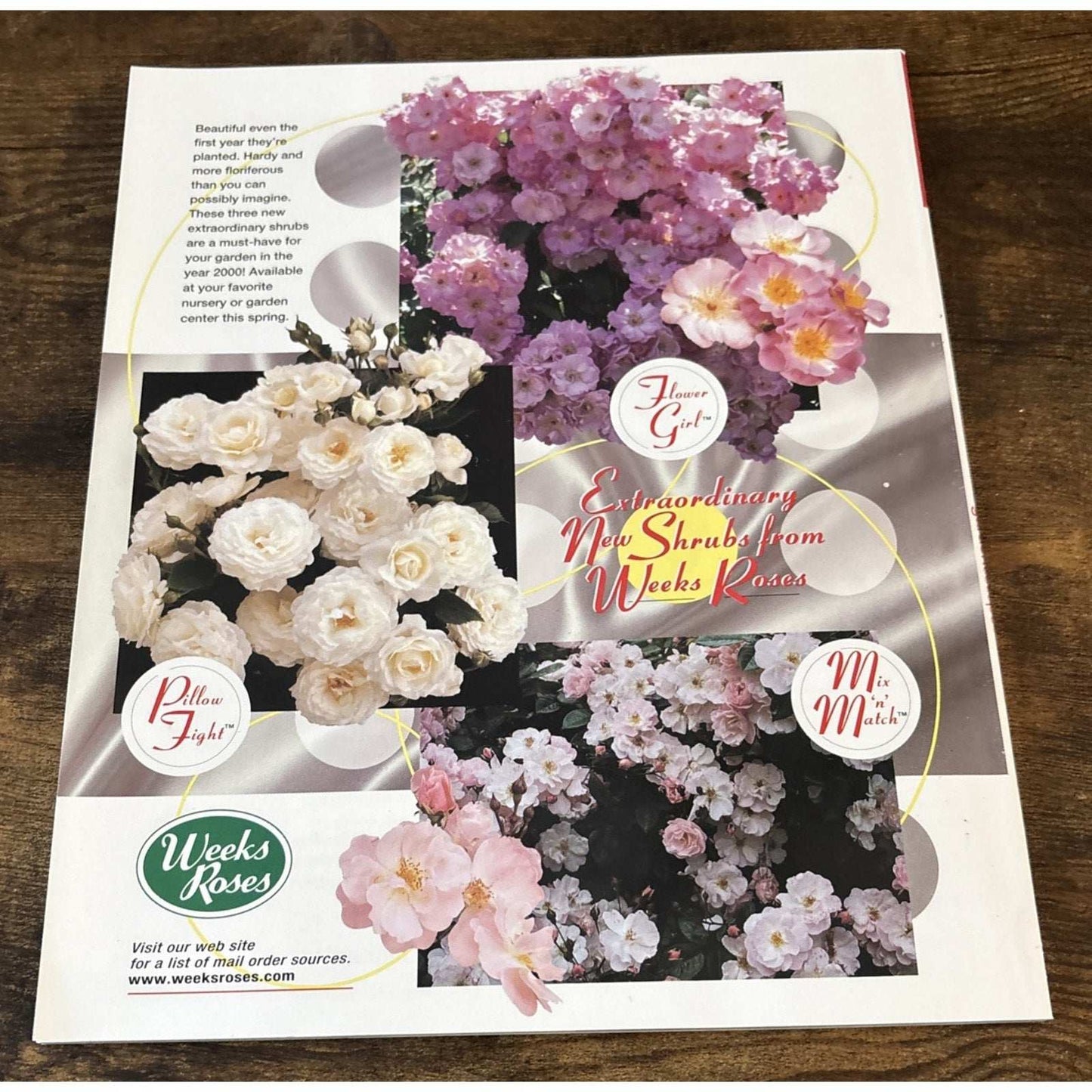 Sierra Home Custom 3D 6.0 LandDesigner Landscaping Software Windows 95/98/2000