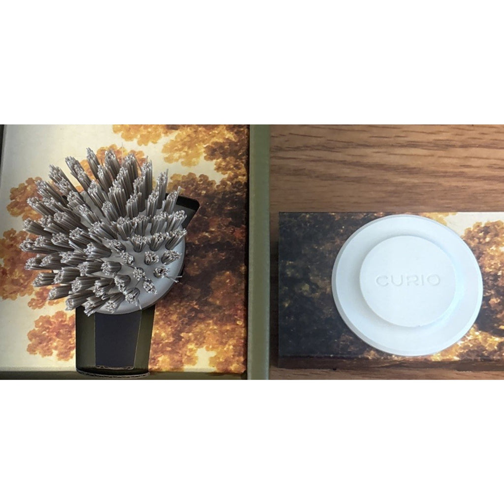 Curio Home Goods Ionic Palm Brush Set Magnetized Stands Upright Stainless Steel
