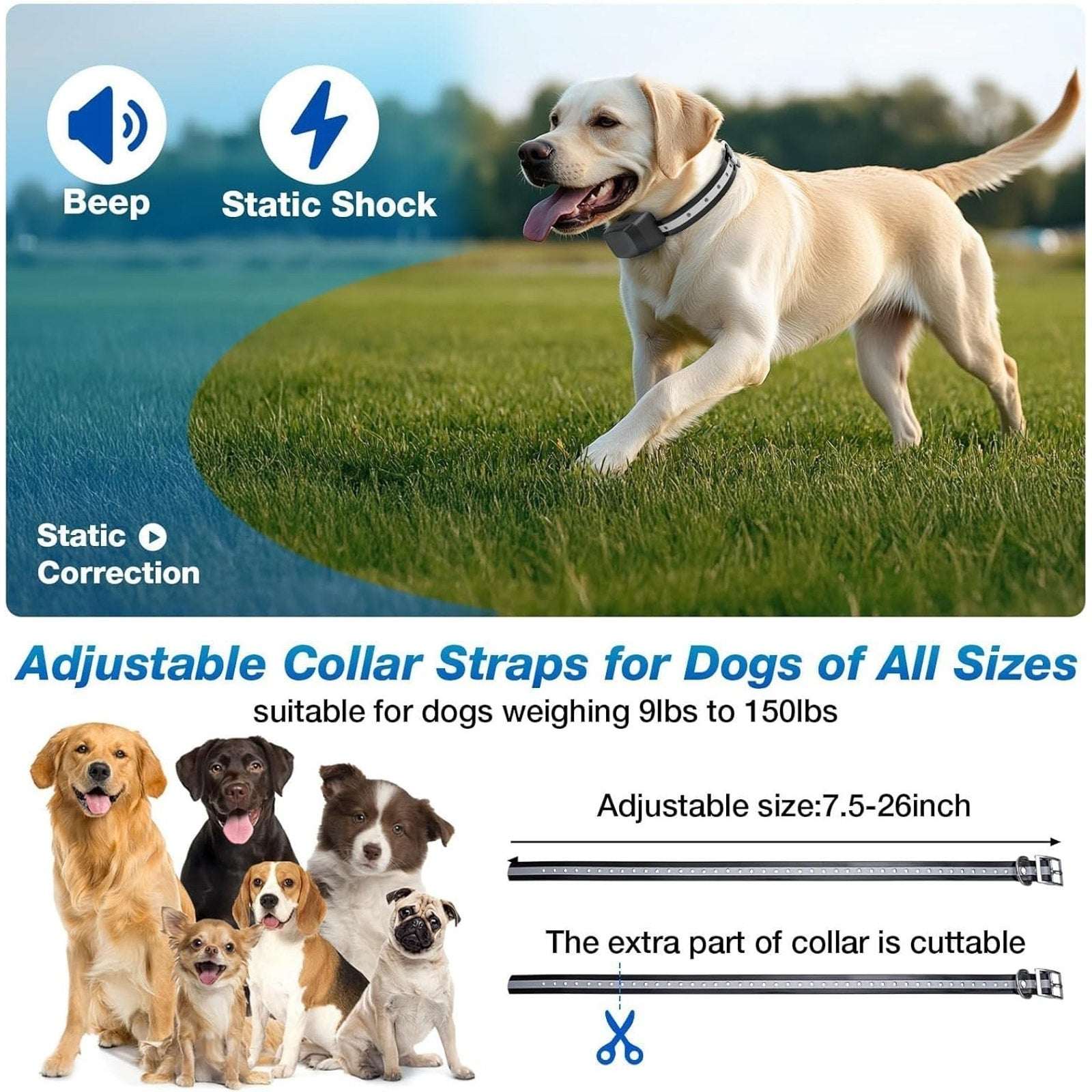2 Dog Electric Fence InGround Pet Containment System Waterproof Training Collars