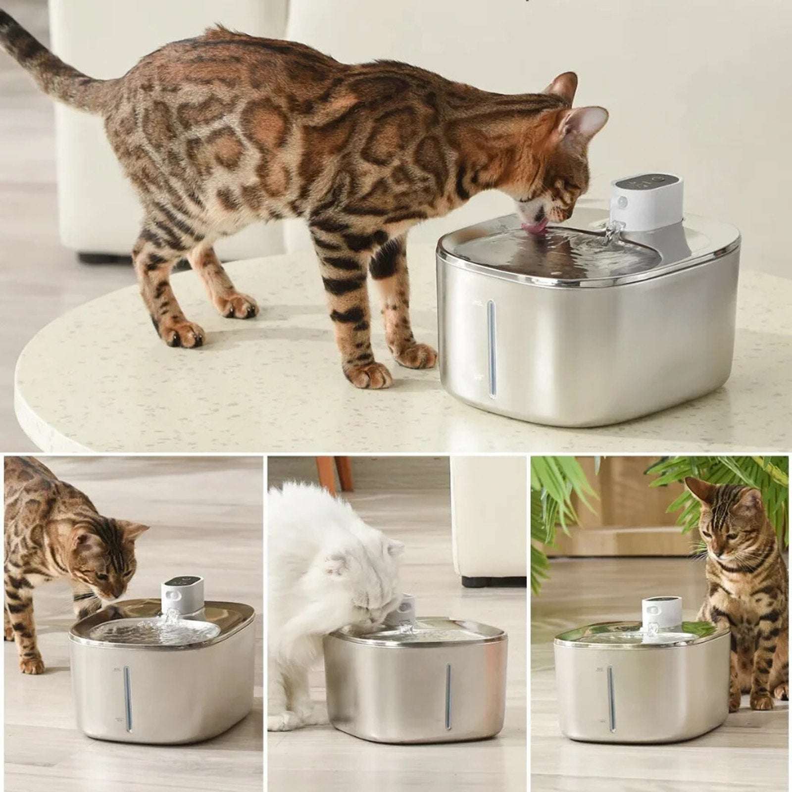 KittySpout 4L Stainless Steel Pet Water Fountain Silent Wireless Motion Sensor