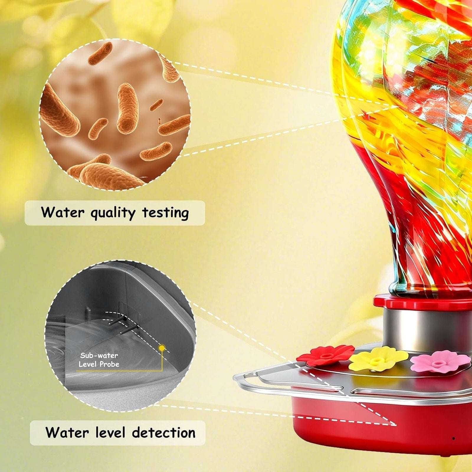 Glass Smart Solar Powered Hummingbird Feeder w/ Camera 2K HD Live View, AI ID