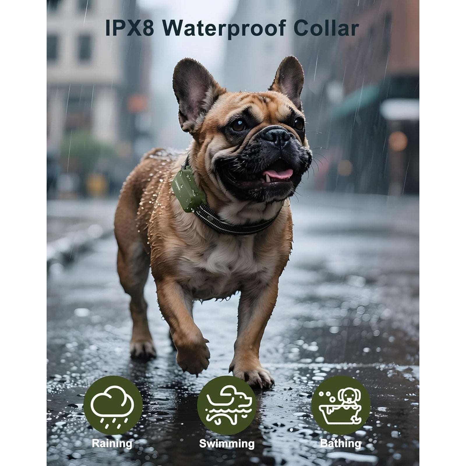 Jugbow Dog Shock Training Collar 4500FT w Remote, Waterproof, 10-120lbs, 4 Modes