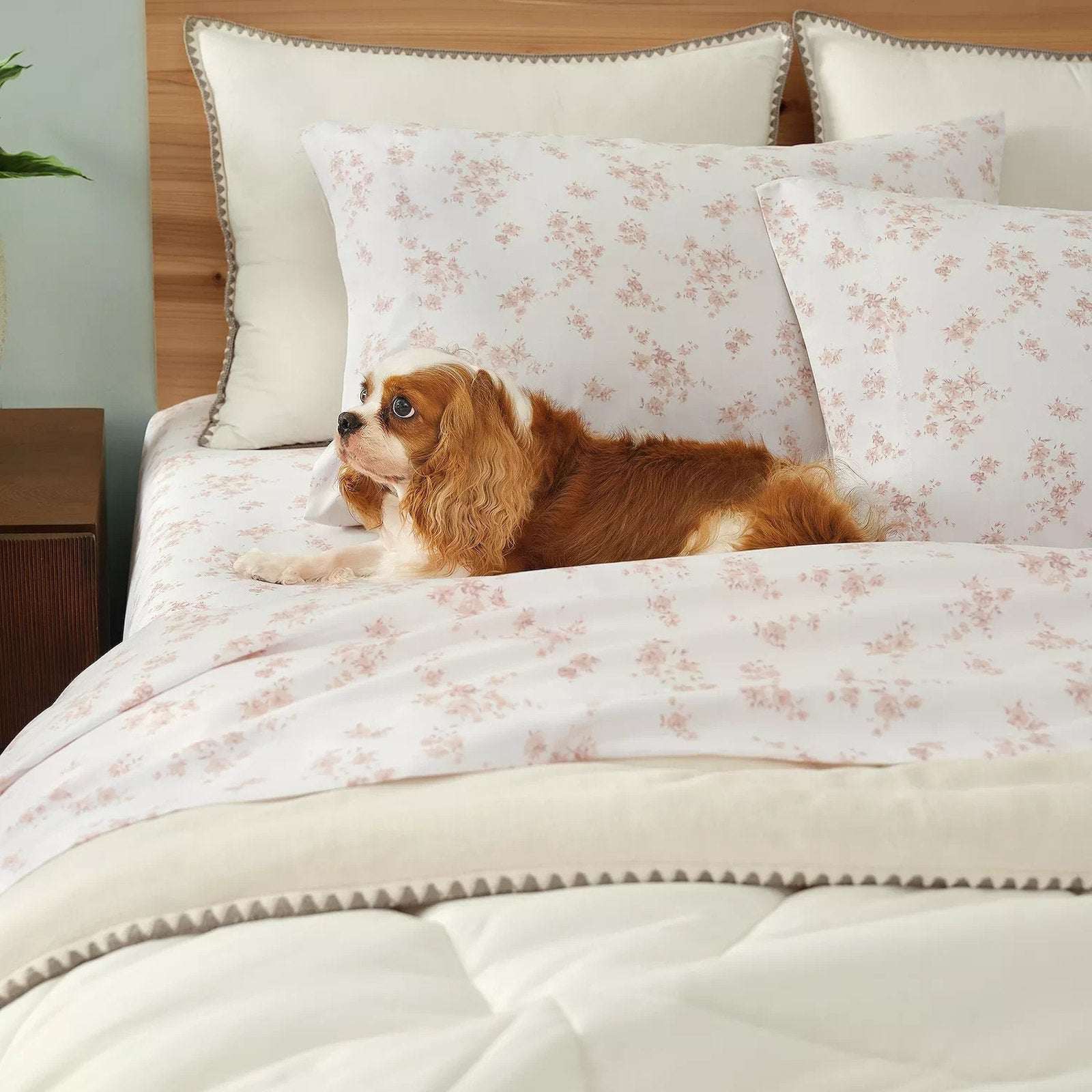 BEARPAW Serene Cooling Queen Sz Sheet Set Morris Dainty Floral Blush Pink/White