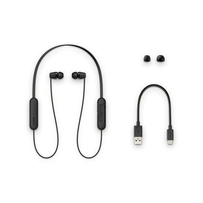 Sony WI-C200 Wireless In-ear Stereo Magnetic Headset Earbuds BT5.0 Calls w/ Mic