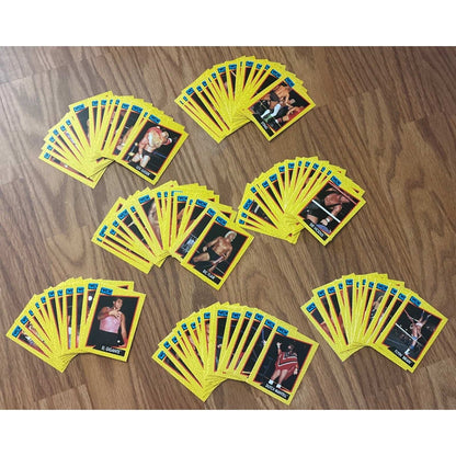 1991 Impel Wrestling WCW 162 Pc Trading Cards Complete Set SID VICIOUS RIC FLAIR