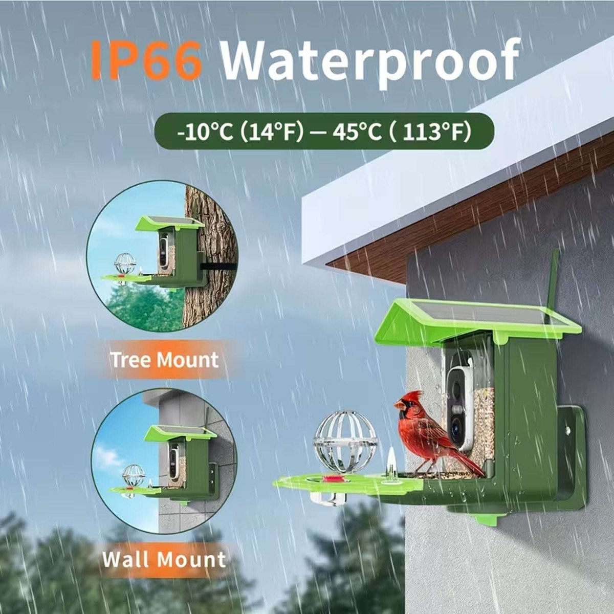 WIFI Solar Powered IP66 Smart Bird Feeder 2K HD Video Camera, Mic & AI Indentify