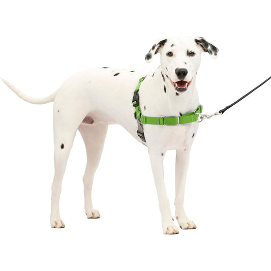 PetSafe Easy Walk Harness Medium/Large M/L Apple Green / Gray 40-65lbs