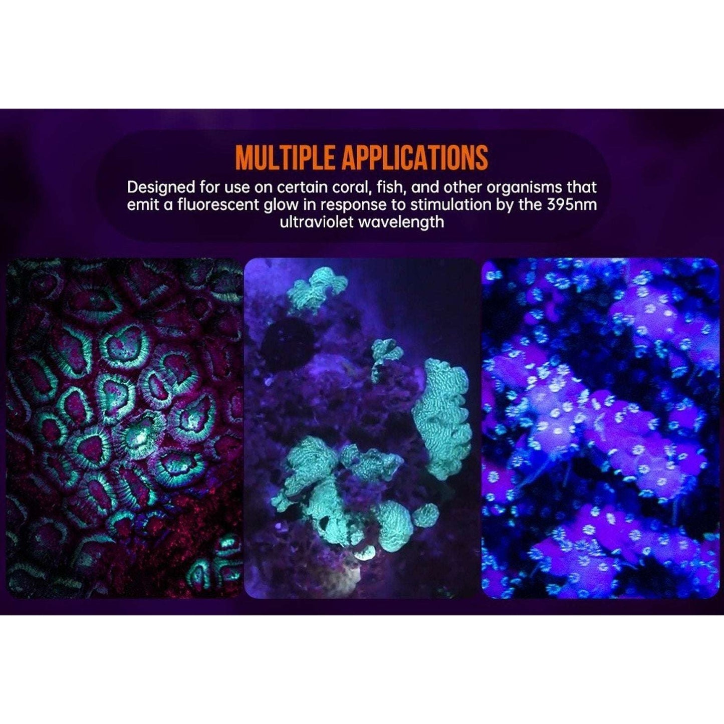 OrcaTorch D530-UV Scuba Diving Underwater Video & Photography UV Dive Light Kit