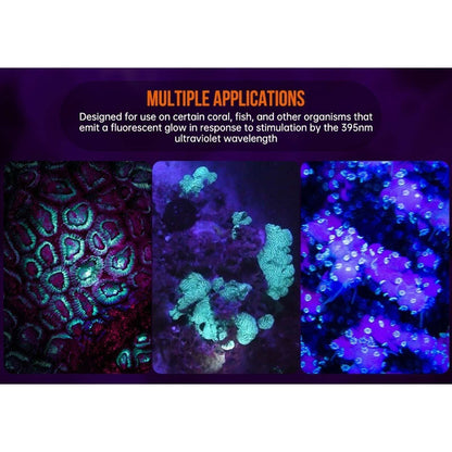 OrcaTorch D530-UV Scuba Diving Underwater Video & Photography UV Dive Light Kit