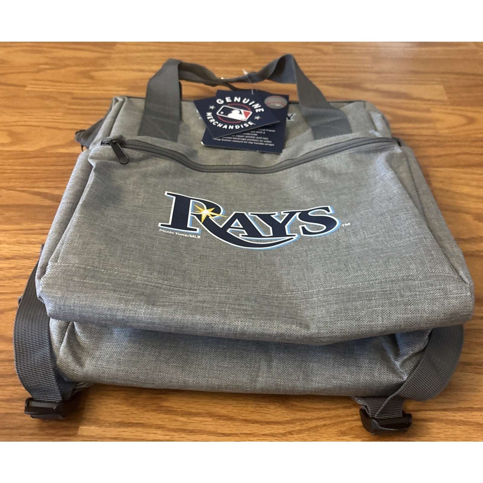 Tampa Bay Rays ONIVA MLB Insulated Cooler Backpack Gray w/ Blue Logo Picnic Bag
