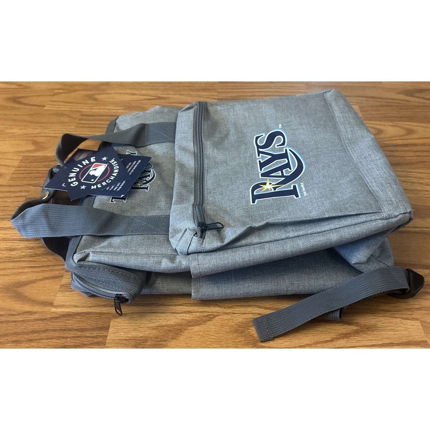 Tampa Bay Rays ONIVA MLB Insulated Cooler Backpack Gray w/ Blue Logo Picnic Bag
