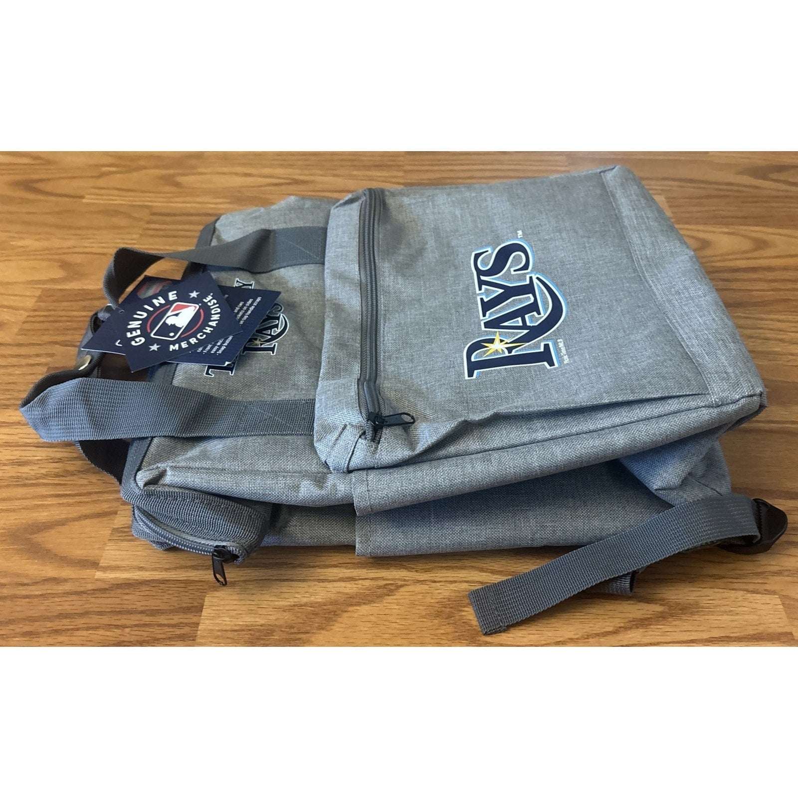 Tampa Bay Rays ONIVA MLB Insulated Cooler Backpack Gray w/ Blue Logo Picnic Bag
