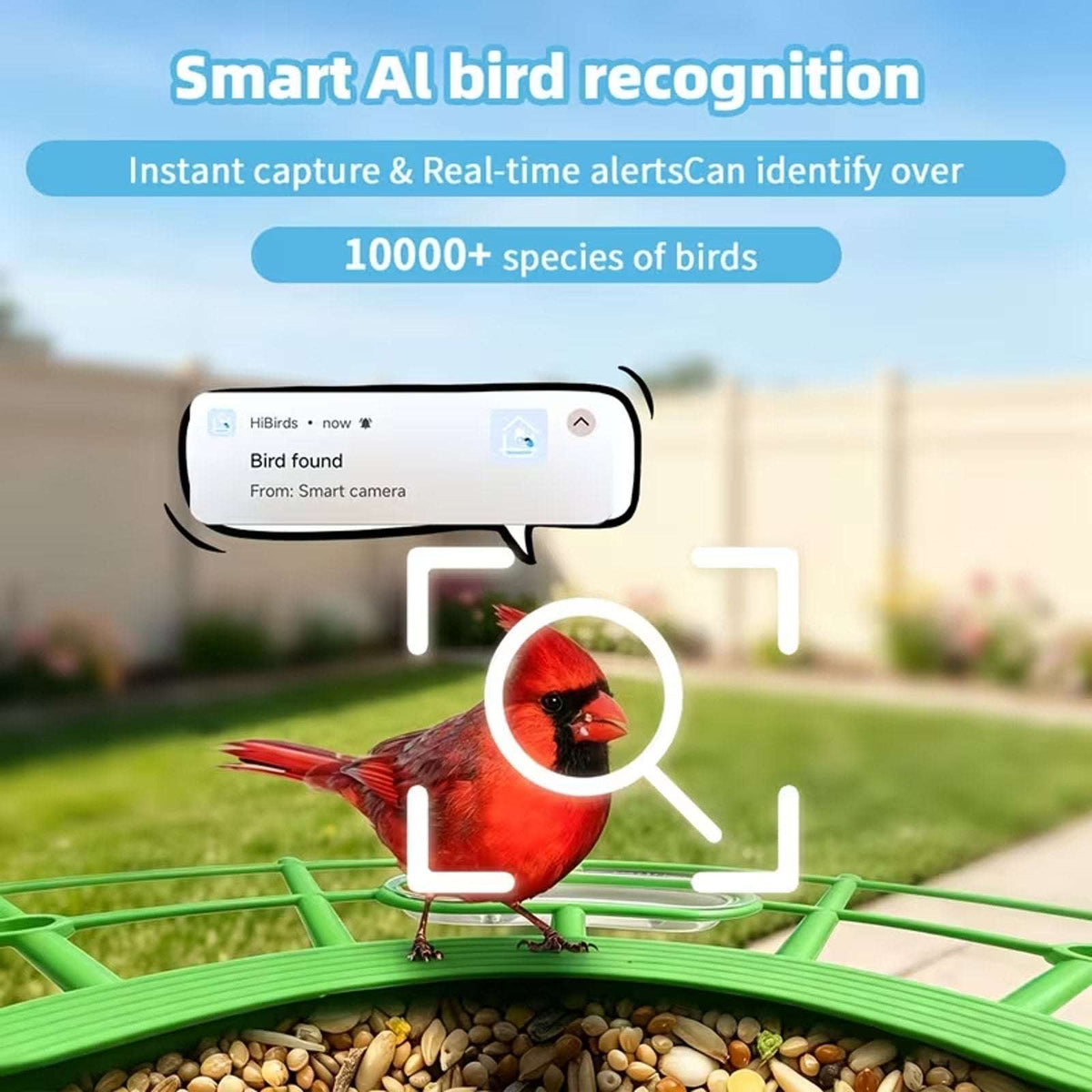 WIFI Solar Powered IP66 Smart Bird Feeder 2K HD Video Camera, Mic & AI Indentify