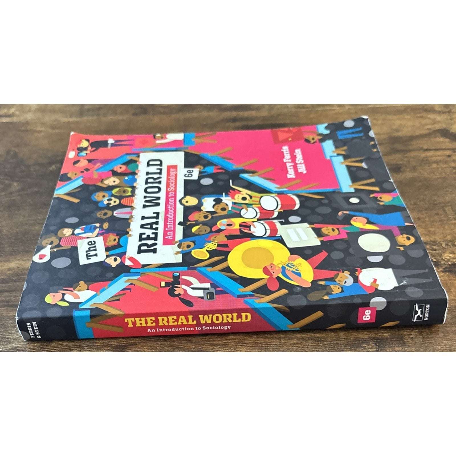 The Real World An Introduction to Sociology by Jill Stein & Kerry Ferris 6th Ed.