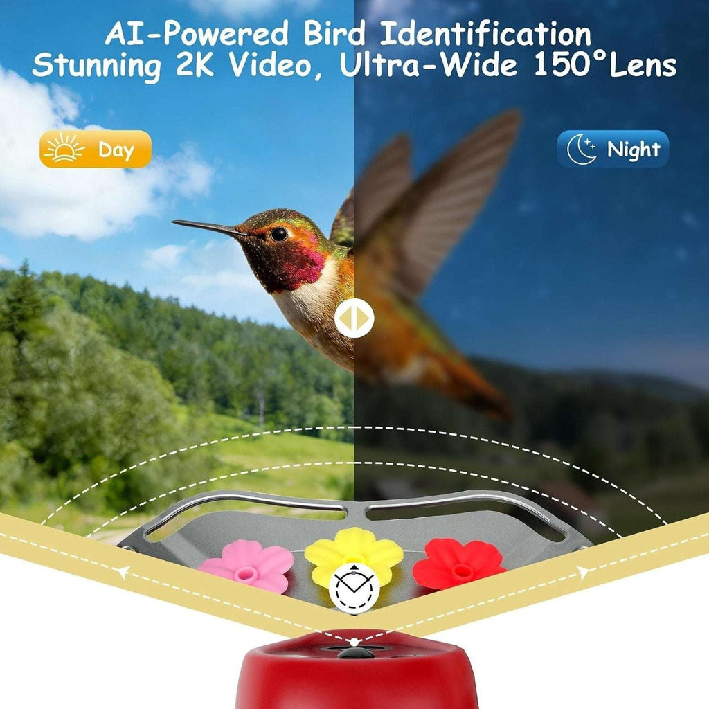 Glass Smart Solar Powered Hummingbird Feeder w/ Camera 2K HD Live View, AI ID