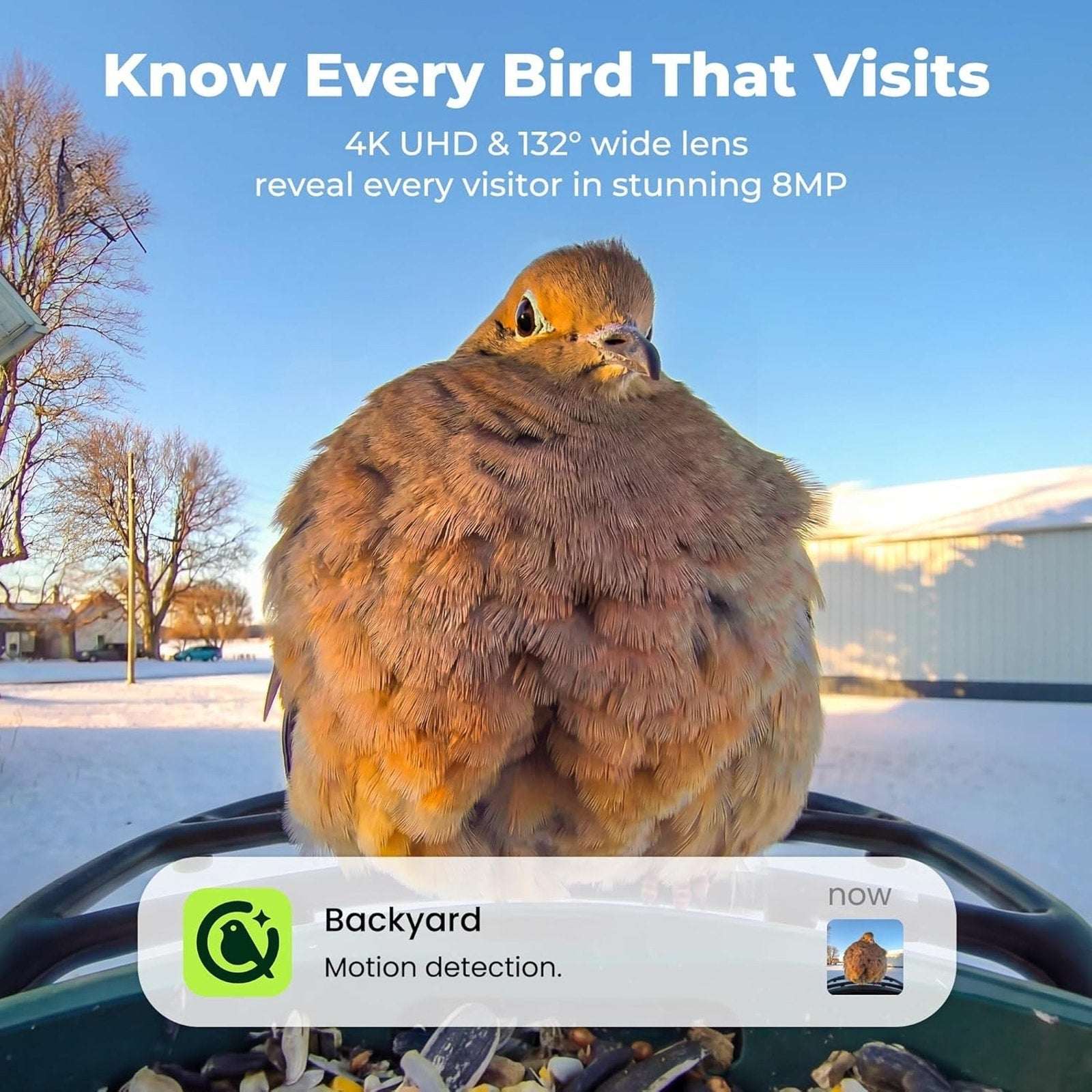 Kiwibit Beako Solar Smart Bird Feeder w Camera, 4K UHD Video, 2-Way Audio, AI ID