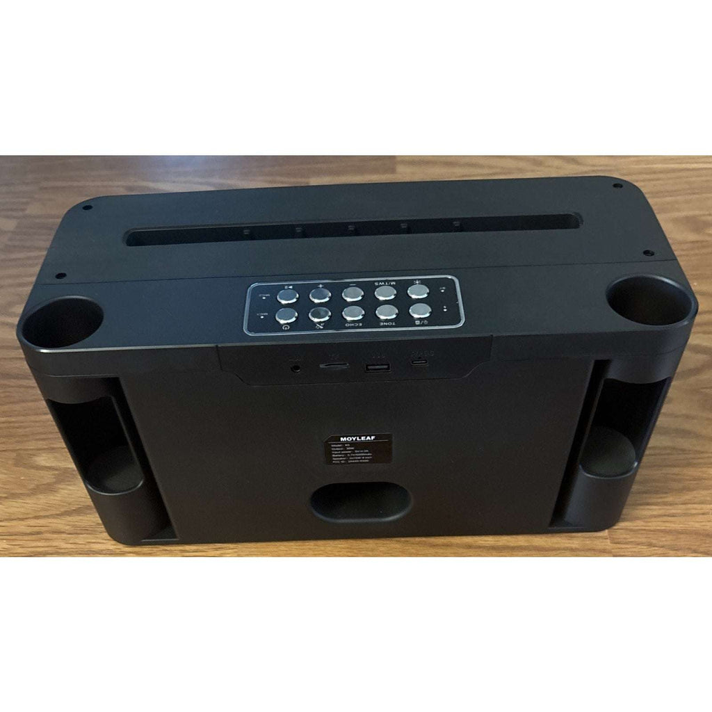Karaoke Machine, Portable Bluetooth Speaker, PA System w/ 2 Wireless Microphones