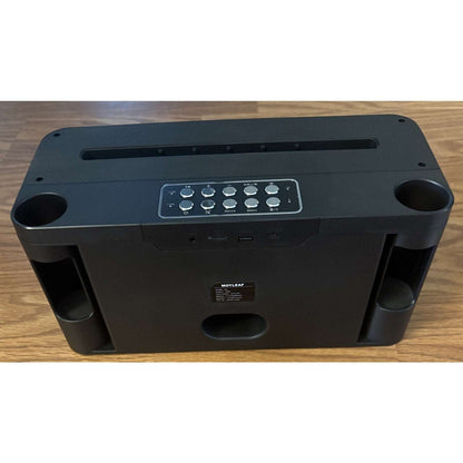 Karaoke Machine, Portable Bluetooth Speaker, PA System w/ 2 Wireless Microphones