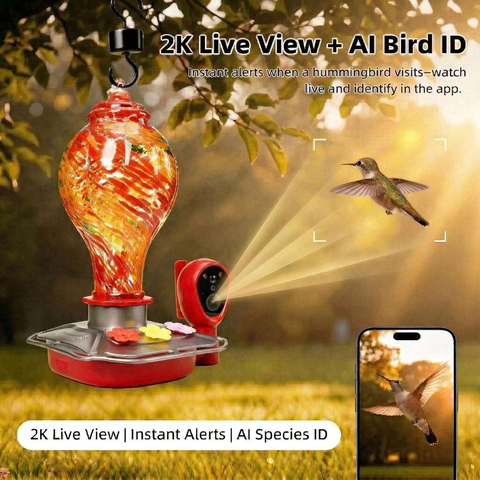 Glass Smart Solar Powered Hummingbird Feeder w/ Camera 2K HD Live View, AI ID
