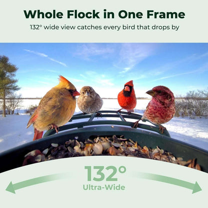 Kiwibit Beako Solar Smart Bird Feeder w Camera, 4K UHD Video, 2-Way Audio, AI ID