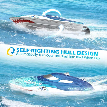 DEERC 2.4G RC Sink-Proof High Speed Racing Boat w/ LED Lights & Shark Graffiti