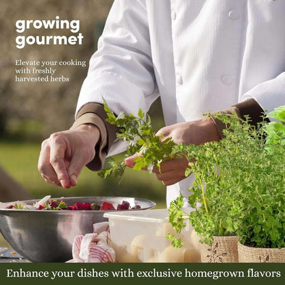 9 Herb Indoor Window Garden Kit Dill Basil Chives Thyme Sage Parsley Cilantro ++