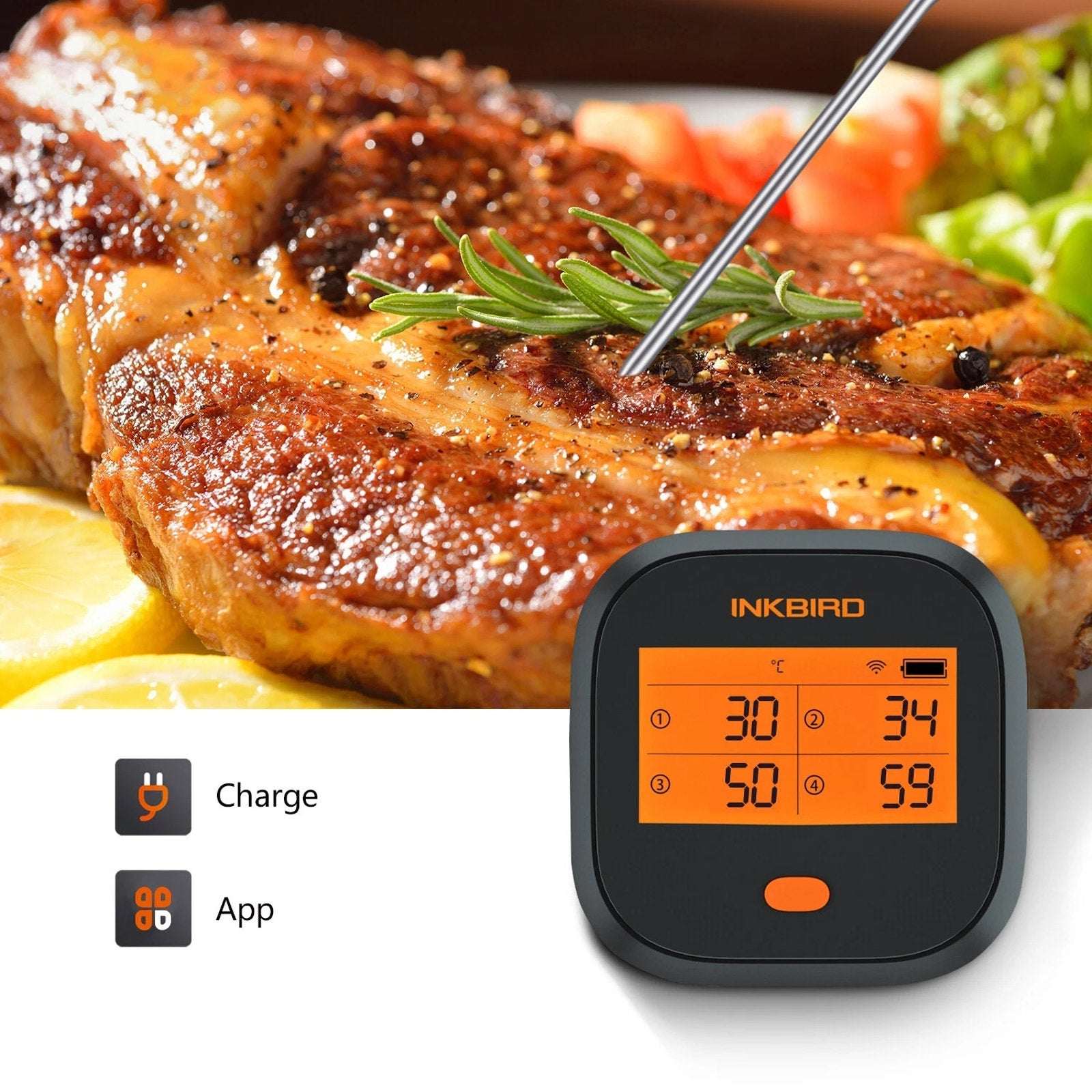 Inkbird Remote Wifi Food Thermometer IBBQ-4T BBQ Meat Cooking Kitchen Grill Tool