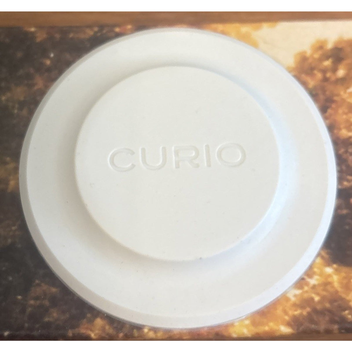 Curio Home Goods Ionic Palm Brush Set Magnetized Stands Upright Stainless Steel