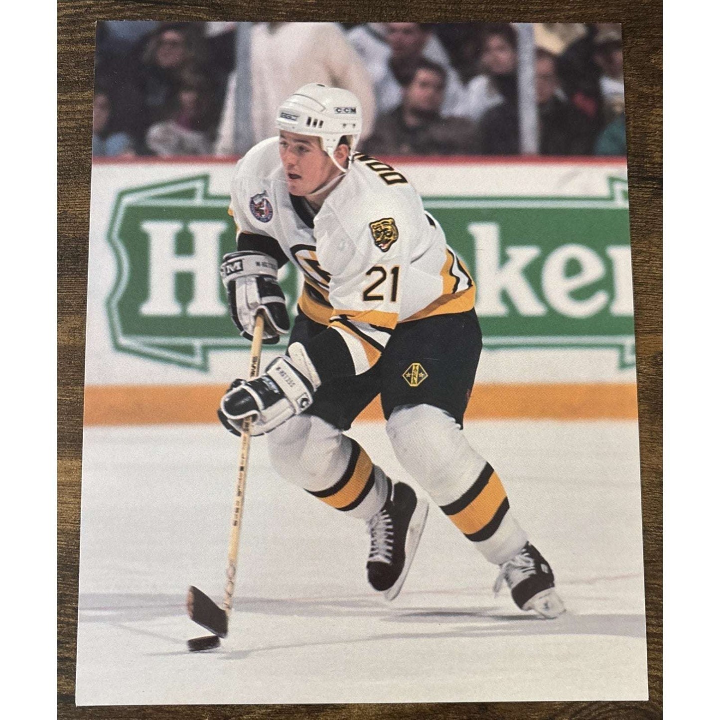 NHL Boston Bruins TED DONATO #37 Game Sports Action Color 8 x 10 Photo Picture