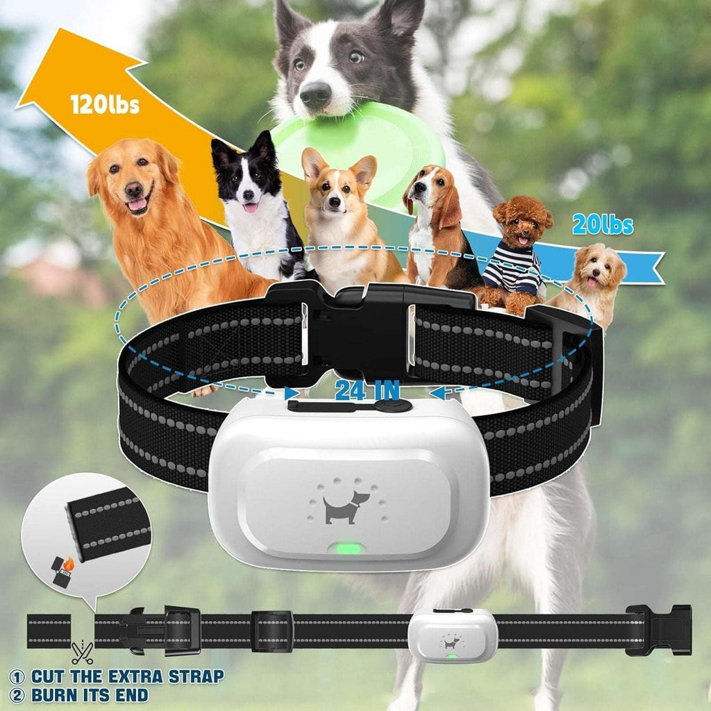 Upgraded Dog Training Collar with Remote - Beep, Vibration & Shock S, M & L Dogs