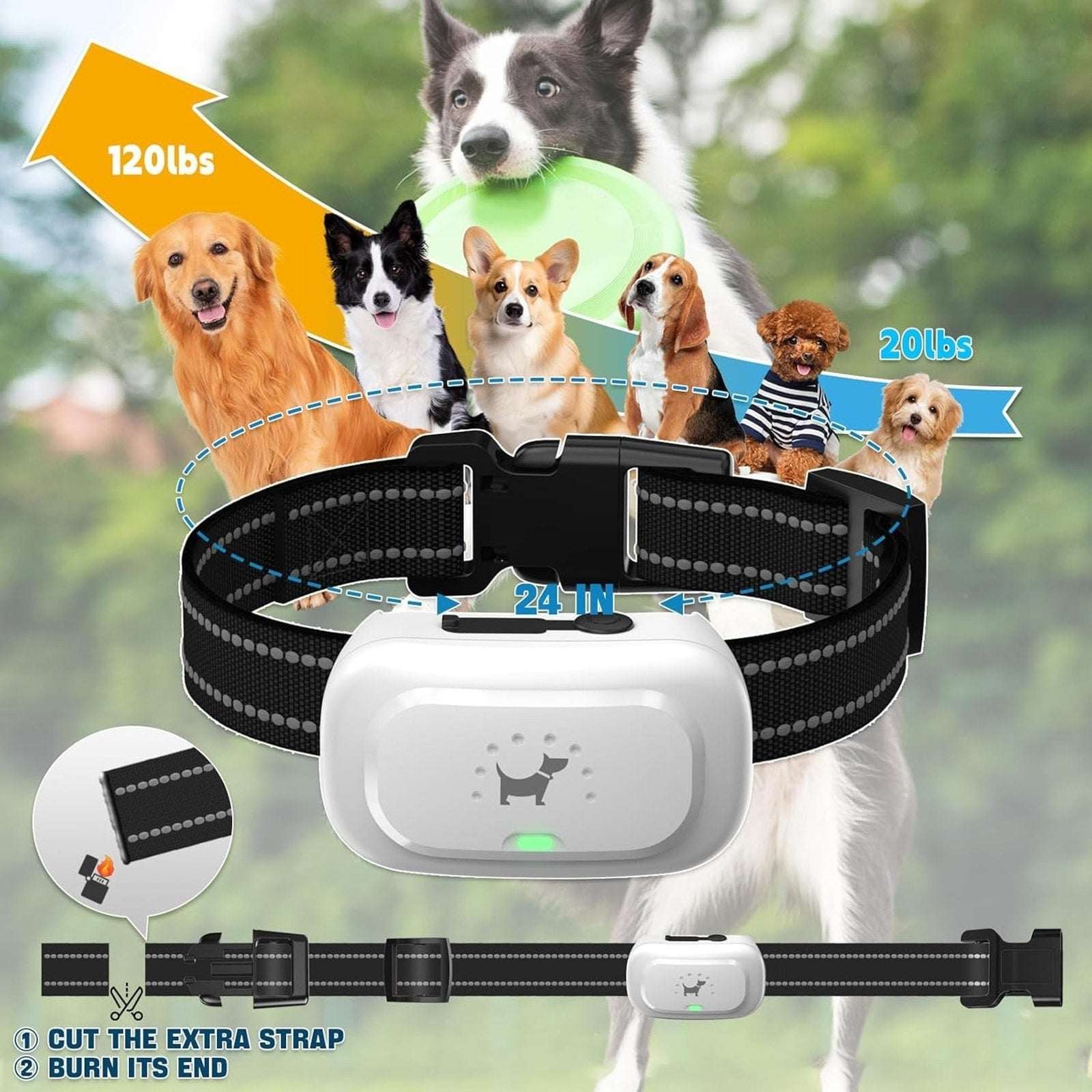 Upgraded Dog Training Collar with Remote - Beep, Vibration & Shock S, M & L Dogs