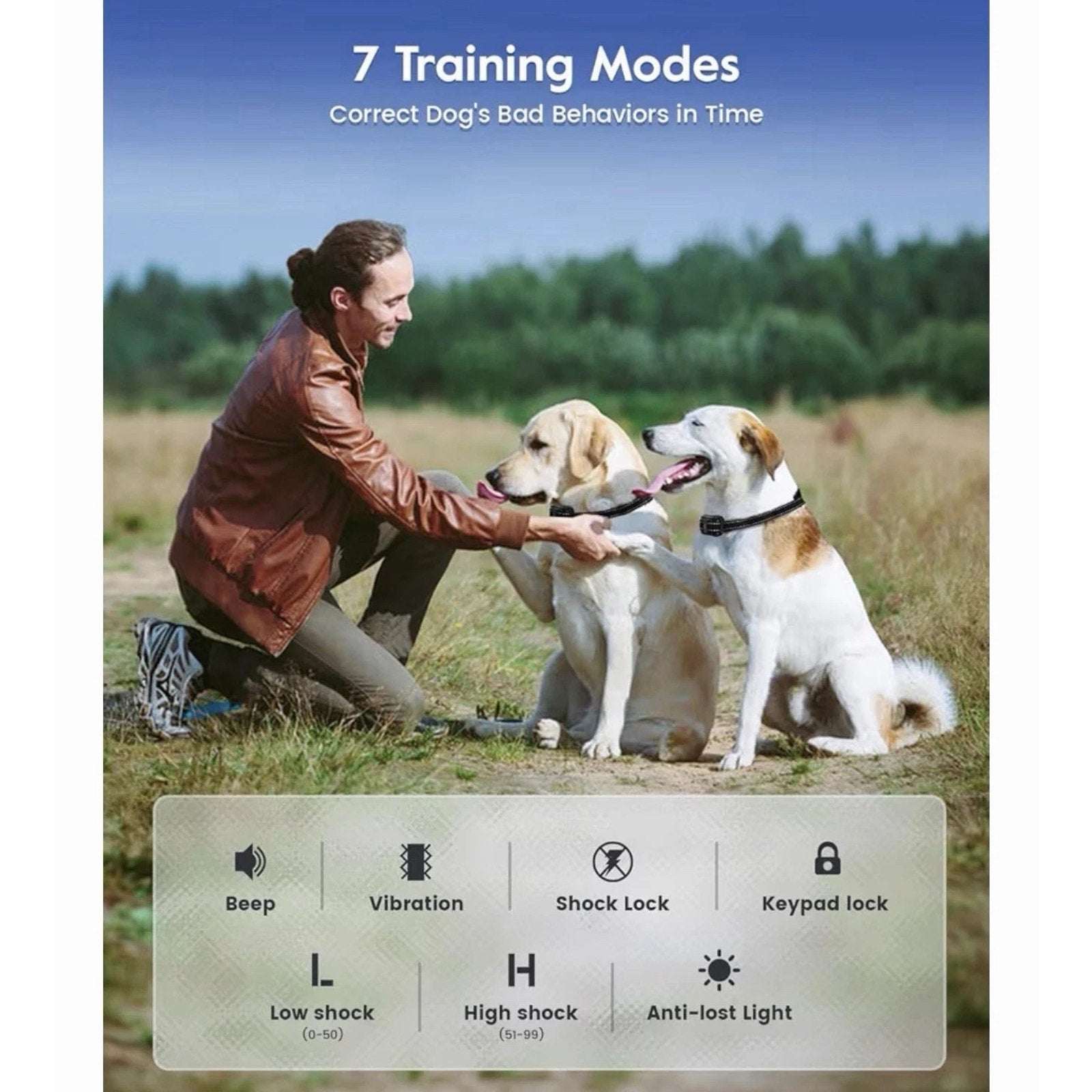 Waterproof Dog Training Collar 4200ft w/ Remote, 4 Modes, 99 Levels & Light