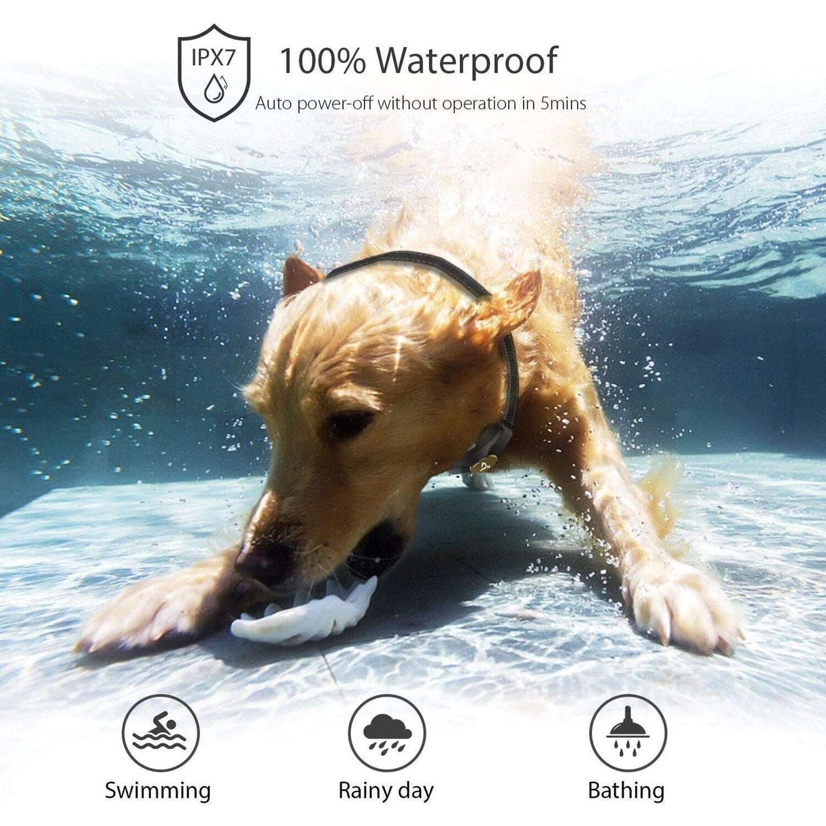 PATPET P320 Remote Dog Training Shock Collar 1000' Range Rechargeable Waterproof
