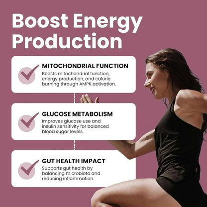 Luma Nutrition Berberine HCL 1200mg – Vegan Glucose Support 60 Capsules