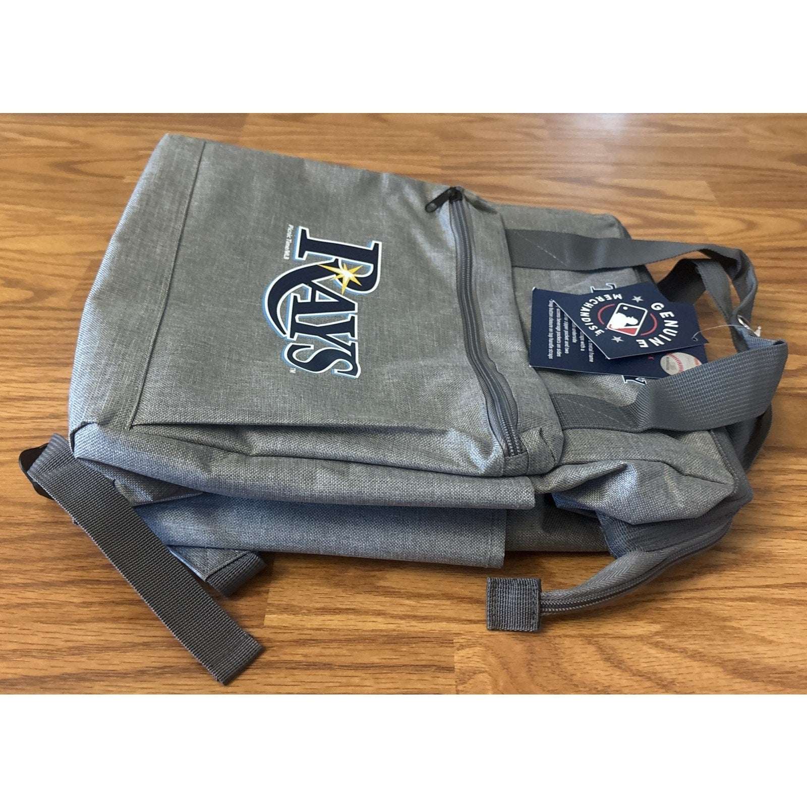 Tampa Bay Rays ONIVA MLB Insulated Cooler Backpack Gray w/ Blue Logo Picnic Bag