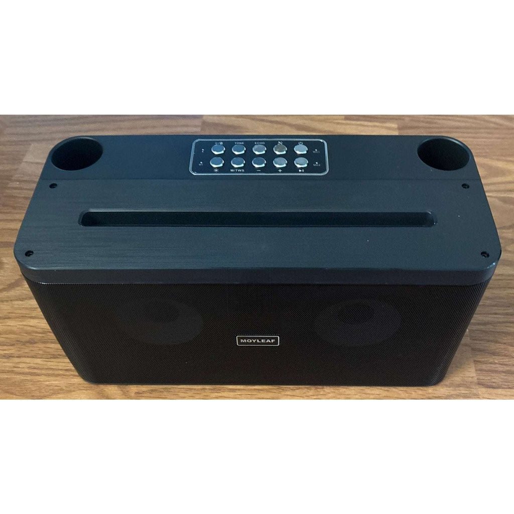 Karaoke Machine, Portable Bluetooth Speaker, PA System w/ 2 Wireless Microphones