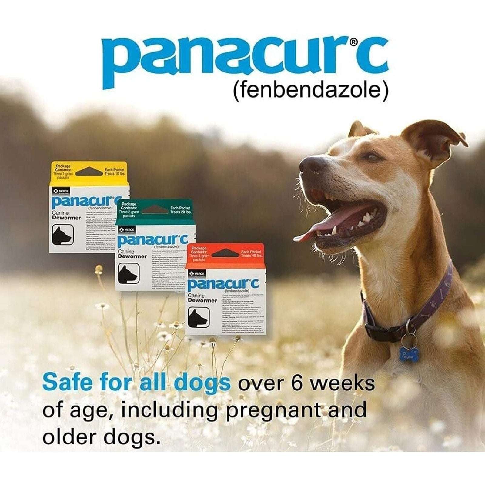 15-Pack Panacur C 4 gram Canine 40lbs Dewormer Treatment Packets EXP: 06/2027