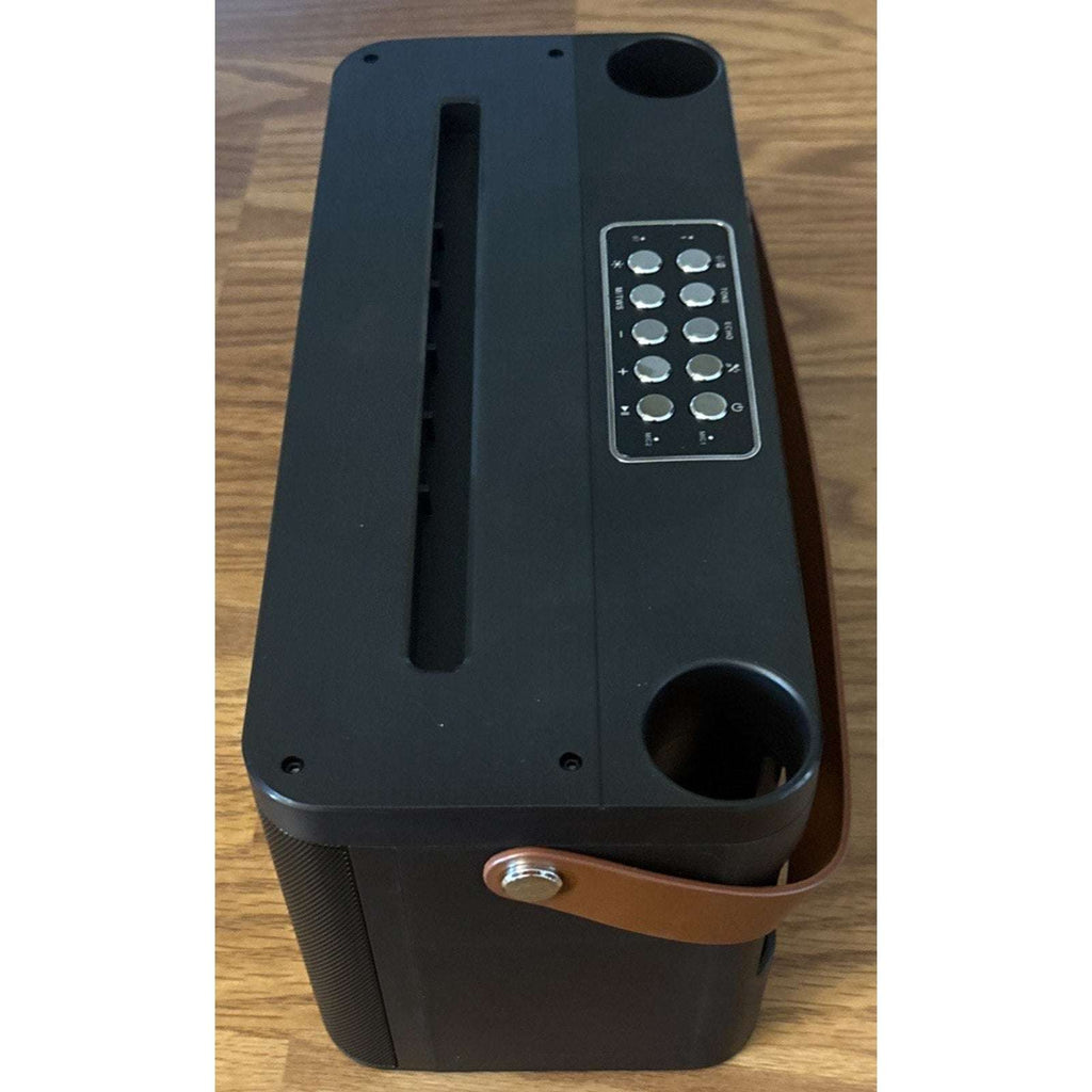 Karaoke Machine, Portable Bluetooth Speaker, PA System w/ 2 Wireless Microphones