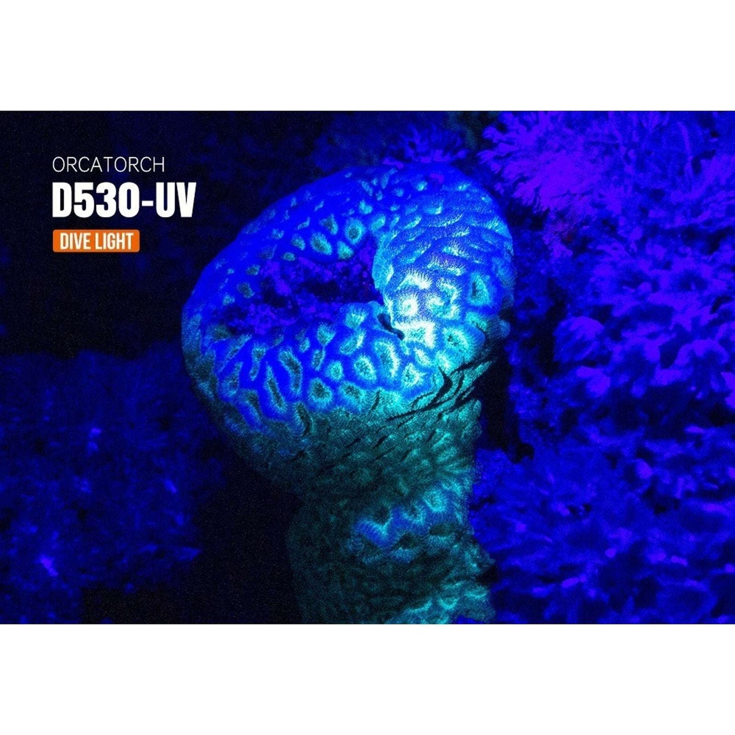 OrcaTorch D530-UV Scuba Diving Underwater Video & Photography UV Dive Light Kit