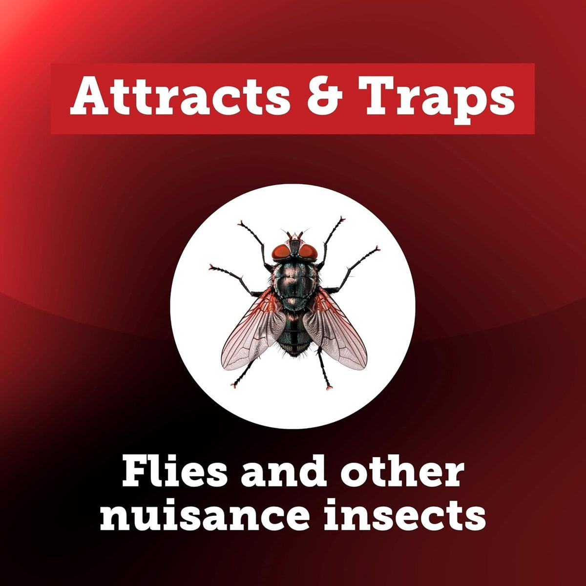 Starbar EZ Fly Stik Odorless Sticky Fly Trap 2-Pack Indoor & Outdoor w/ Hanger