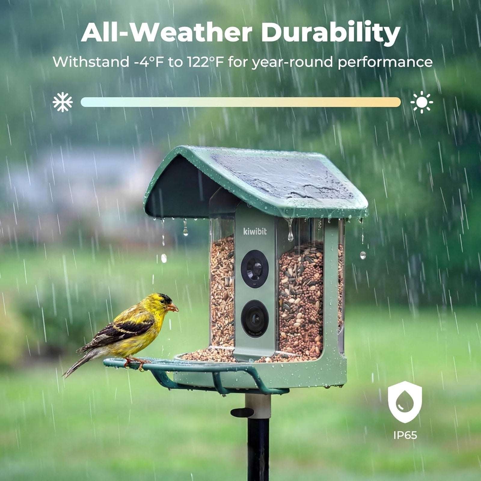 Kiwibit Beako Solar Smart Bird Feeder w Camera, 4K UHD Video, 2-Way Audio, AI ID