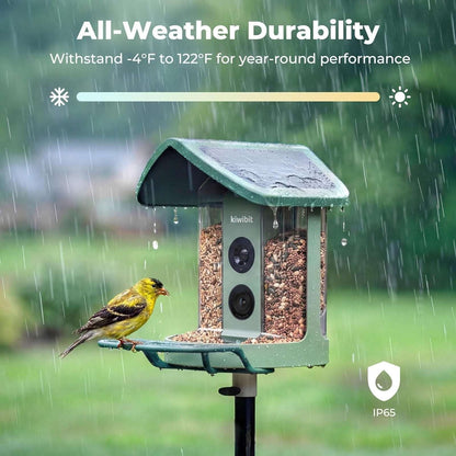 Kiwibit Beako Solar Smart Bird Feeder w Camera, 4K UHD Video, 2-Way Audio, AI ID