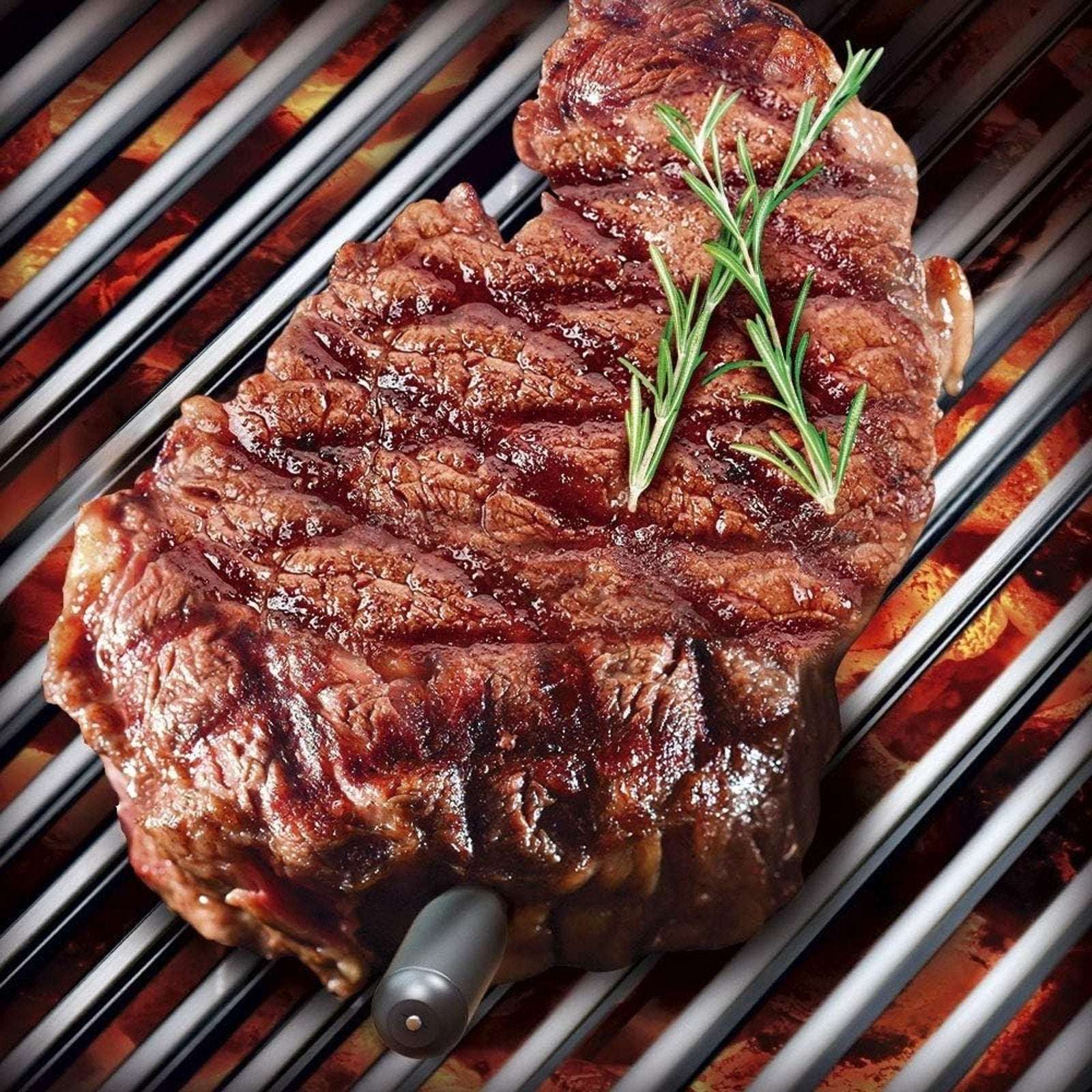 Mastrad Meat It Smart Wireless Bluetooth Meat Dual Probe BBQ Oven Grill Smoker