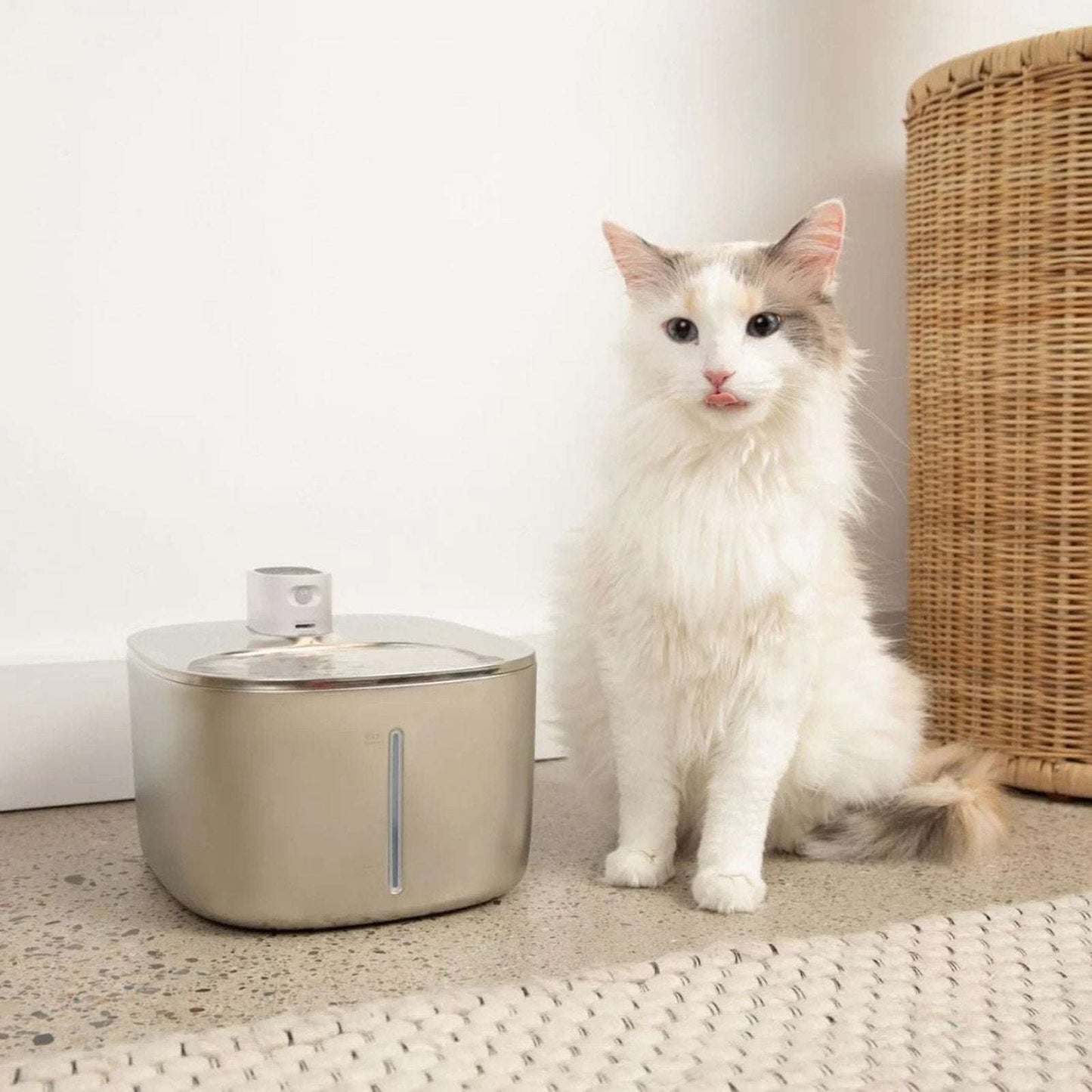 KittySpout 4L Stainless Steel Pet Water Fountain Silent Wireless Motion Sensor