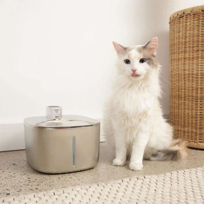 KittySpout 4L Stainless Steel Pet Water Fountain Silent Wireless Motion Sensor