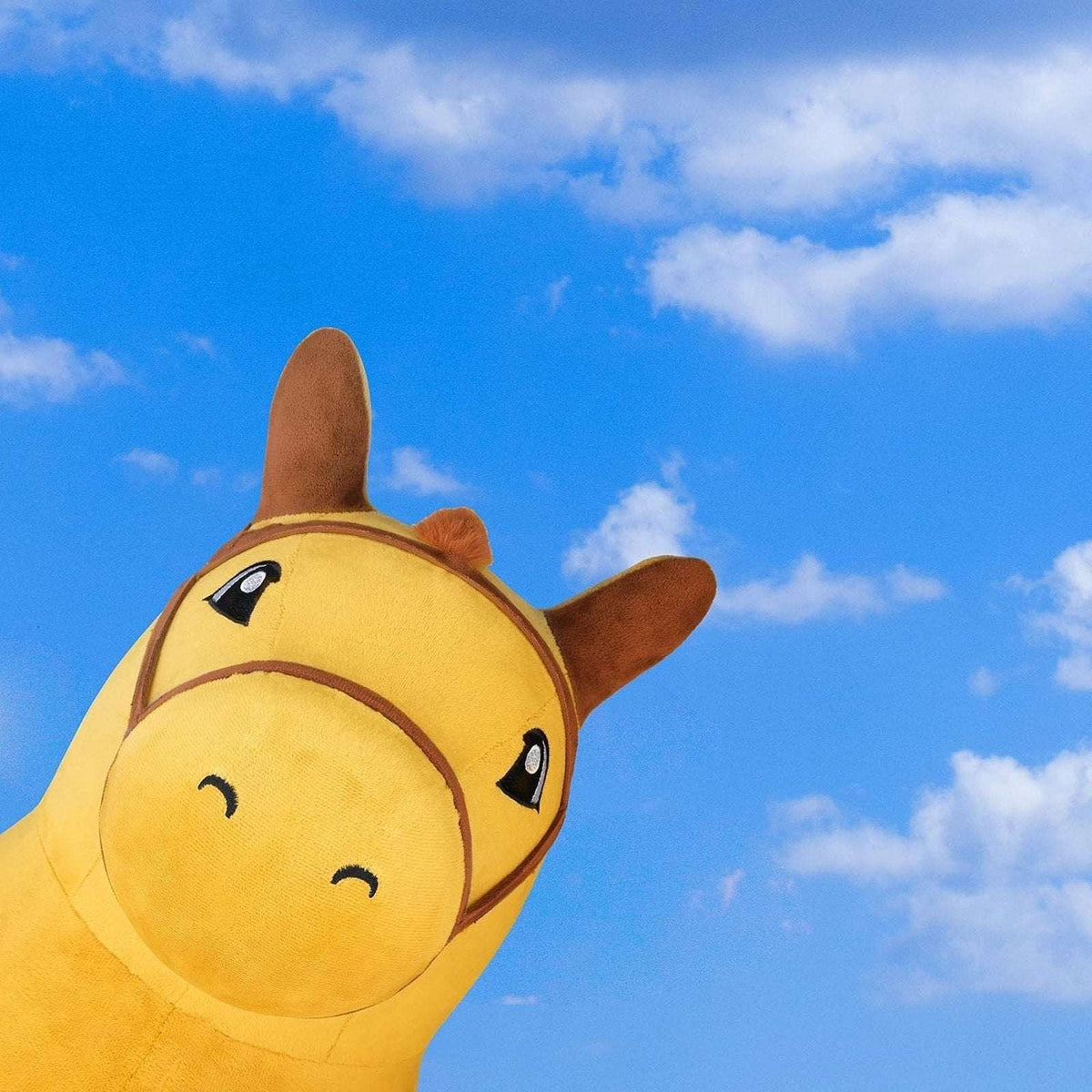iPlay, iLearn Bouncy Pals Hopping Horse, Toddler Inflatable Plush Ride-On Toy