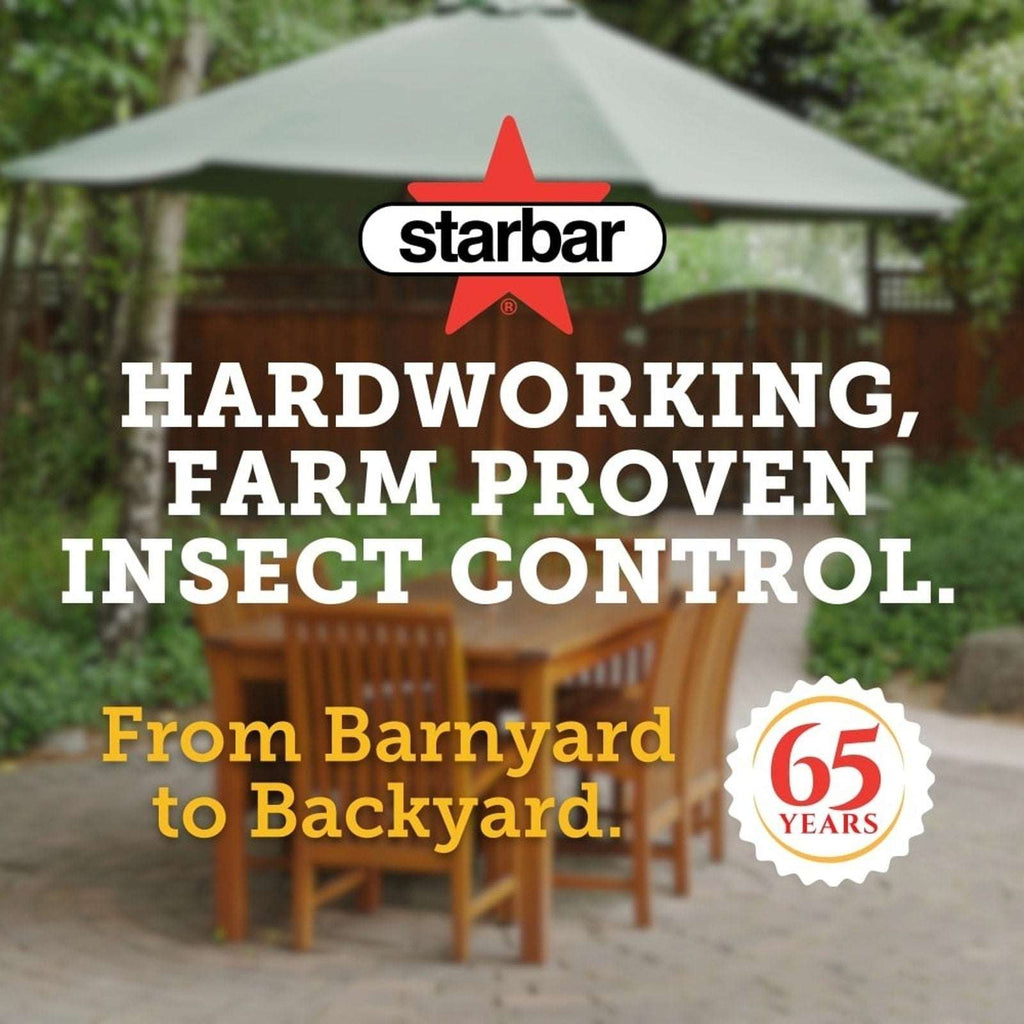 Starbar EZ Fly Stik Odorless Sticky Fly Trap 2-Pack Indoor & Outdoor w/ Hanger