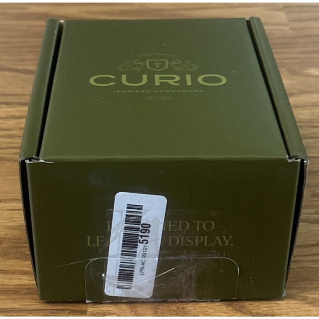 Curio Home Goods Ionic Palm Brush Set Magnetized Stands Upright Stainless Steel