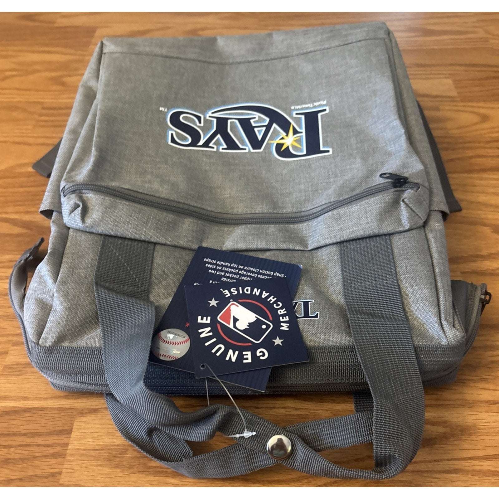 Tampa Bay Rays ONIVA MLB Insulated Cooler Backpack Gray w/ Blue Logo Picnic Bag
