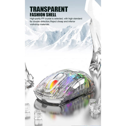 Transparent RGB Bluetooth Wireless Gaming Mouse, Dual Mode USB Computer Mouse